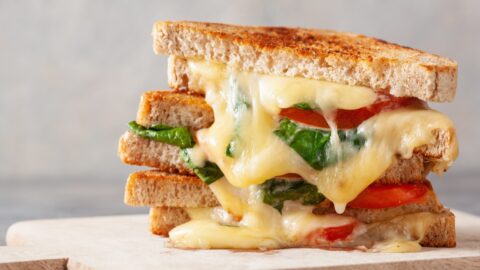 Homemade Grilled Cheese Sandwich with Tomatoes, Cheese and Bread