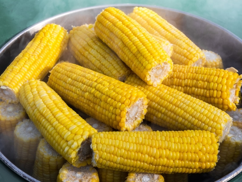 Indiana Sweet Corn Steamed in a Pot