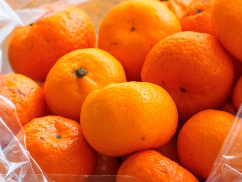 Kishus Oranges on a Plastic Bag