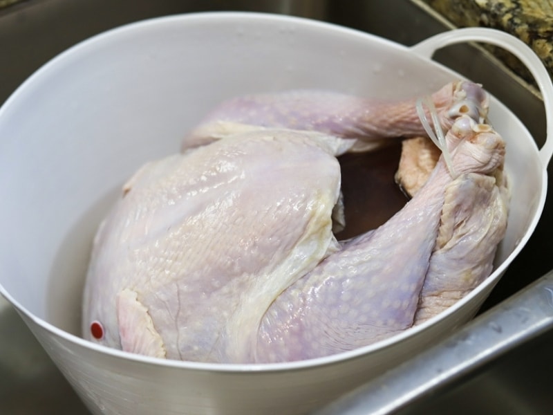 Raw Turkey Soaked on a Bucket of Water