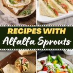 Recipes with Alfalfa Sprouts