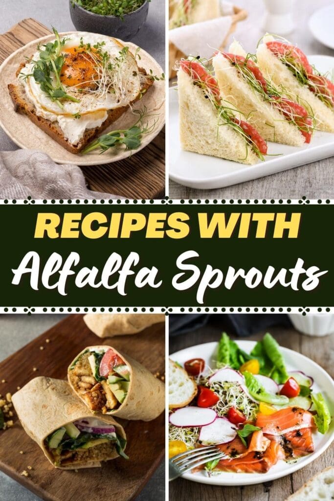 Recipes with Alfalfa Sprouts