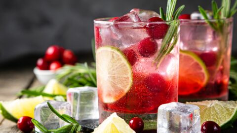 Refreshing Boozy Cranberry Vodka Cocktail with Lime and Rosemary