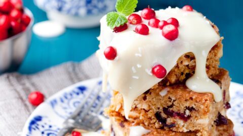 Sweet Homemade Chocolate Brownie Bar with Cranberries