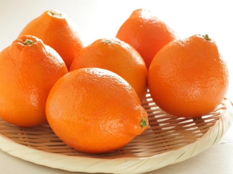 Fresh Tangelo Oranges
