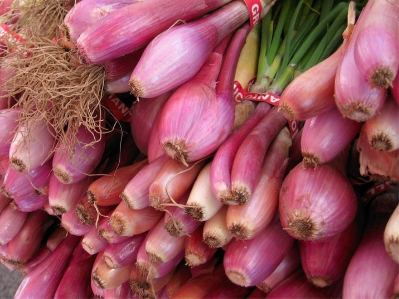 Bunch of Fresh Torpedo Onions Displayed on Market