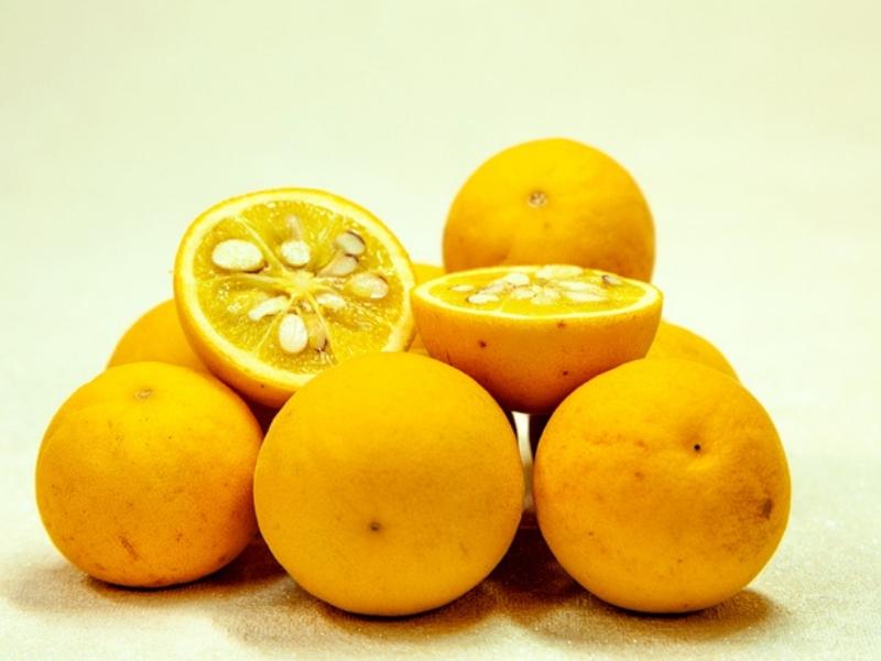 Trifoliate Orange (Citrus Trifoliata)