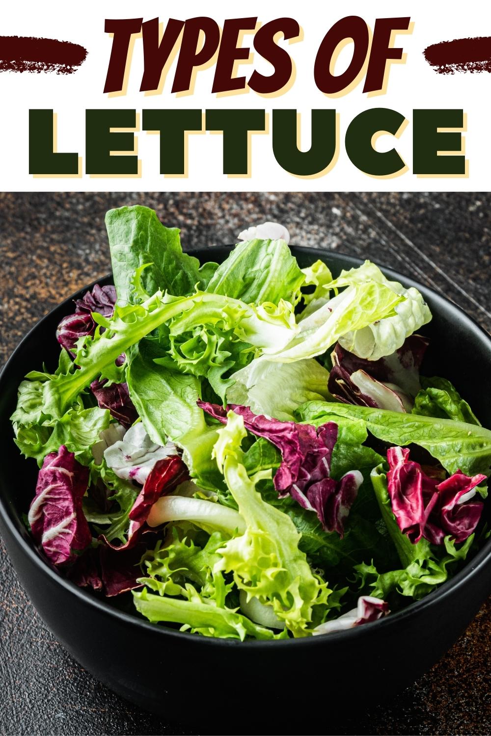 20 Different Types of Lettuce Varieties Insanely Good