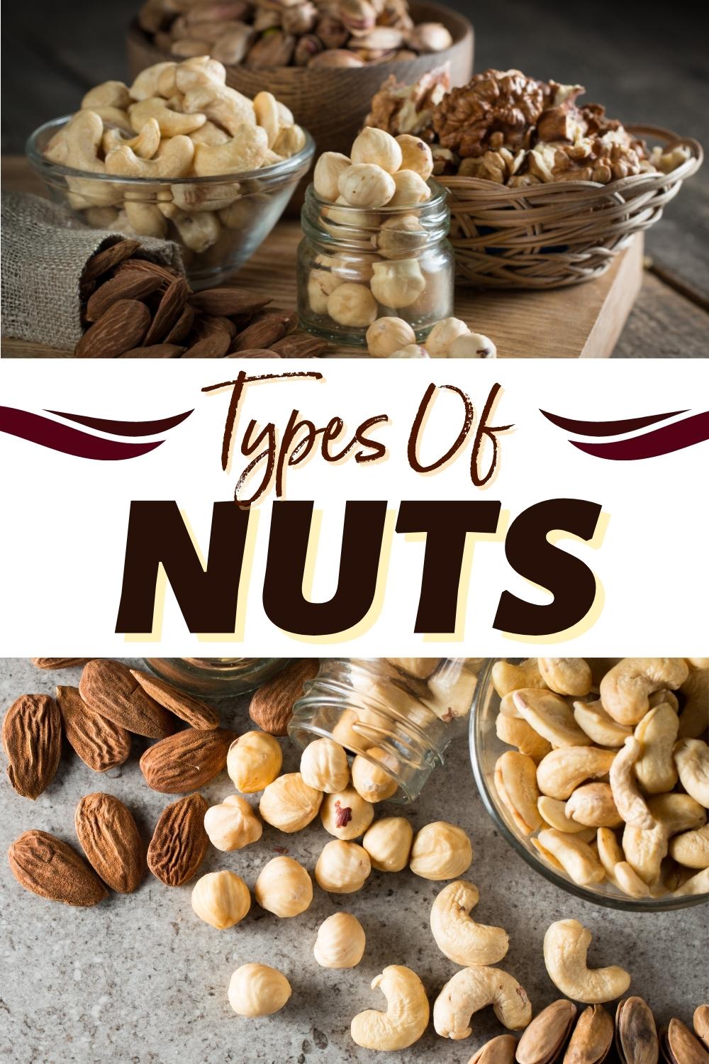 20 Types of Nuts (Different Varieties) - Insanely Good