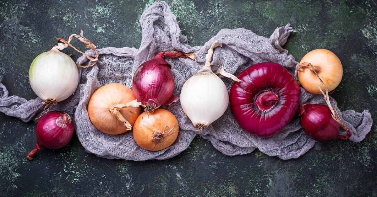 Various Organic Types of Onions