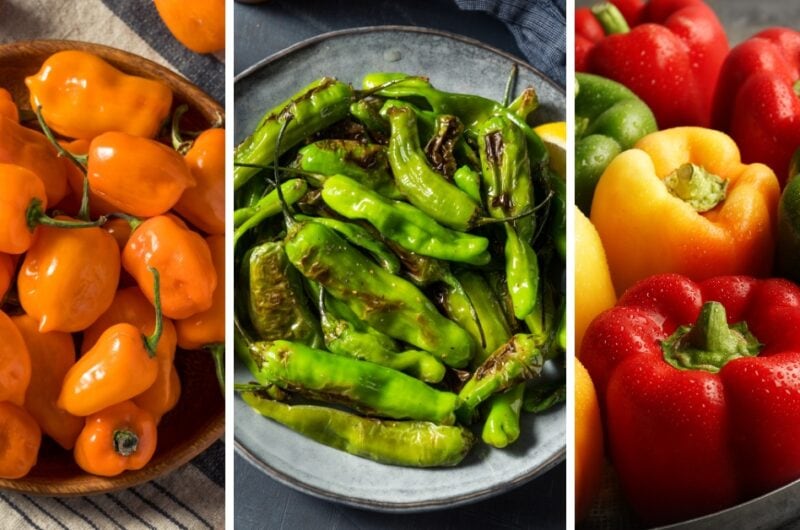 25 Different Types of Peppers and How to Use Them