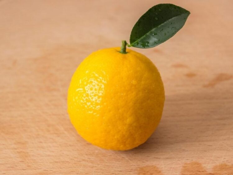 30 Different Types of Lemons to Try Insanely Good