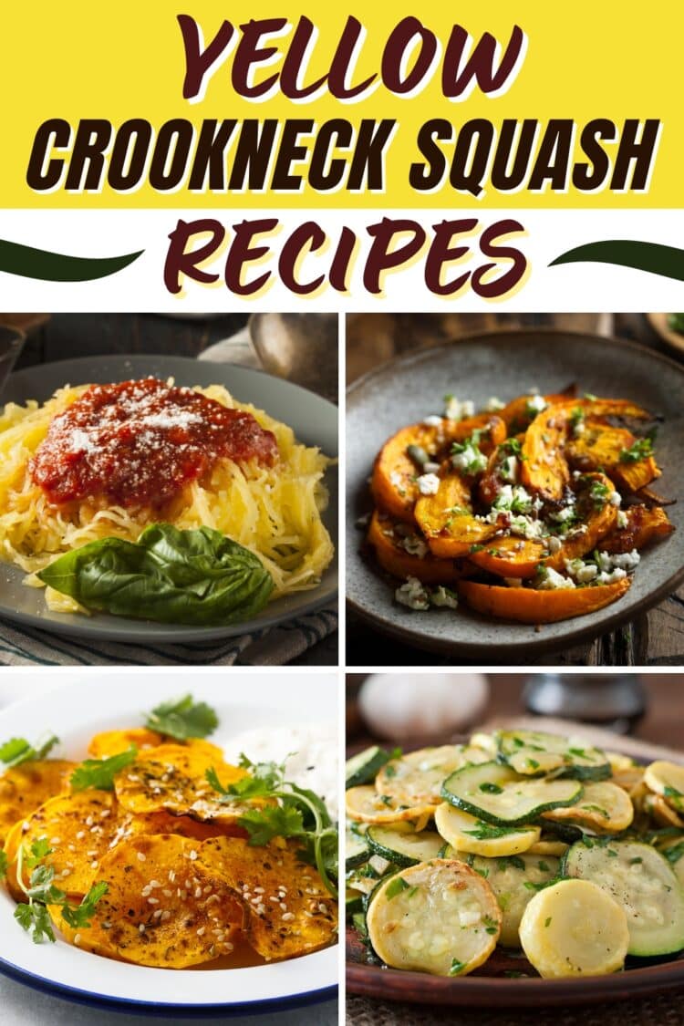 17 Best Yellow Crookneck Squash Recipes to Try Insanely Good