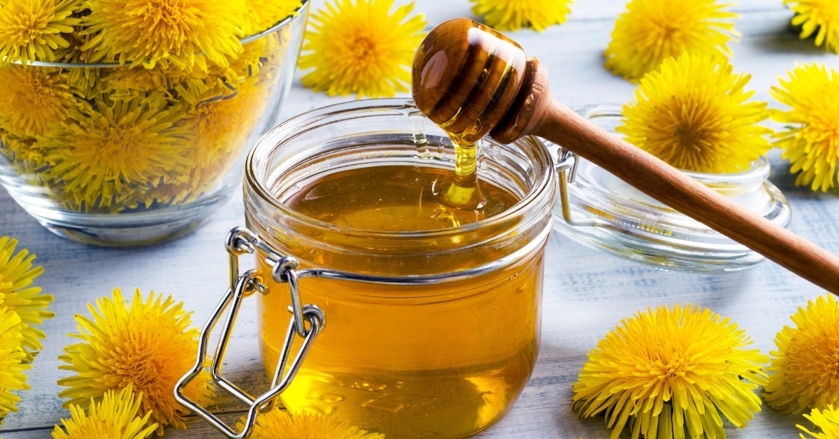 A Jar of Dandelion Honey with Fresh Flowers