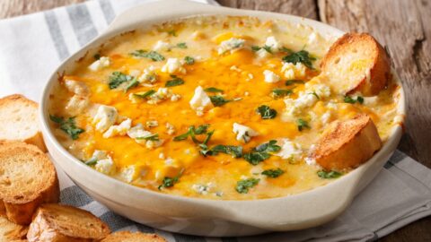 Appetizing Buffalo Chicken Dip with Cheese, Herbs and Bread