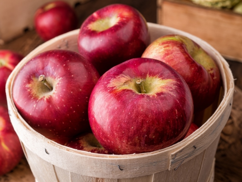 Cortland Apples in a Wooden Bucket 