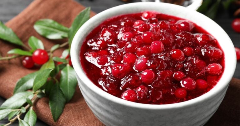 Cranberry Sauce in a White Bowl