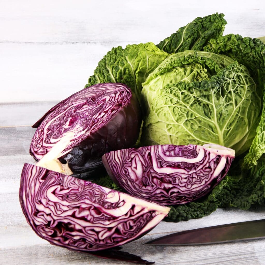 Different Types of Cabbage: Red, White and Savoy