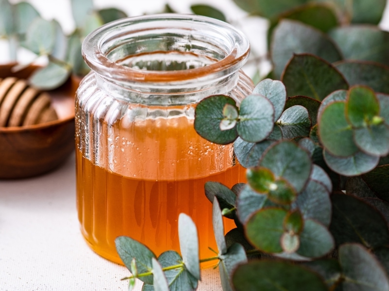 Eucalyptus Honey in a Glass Jar