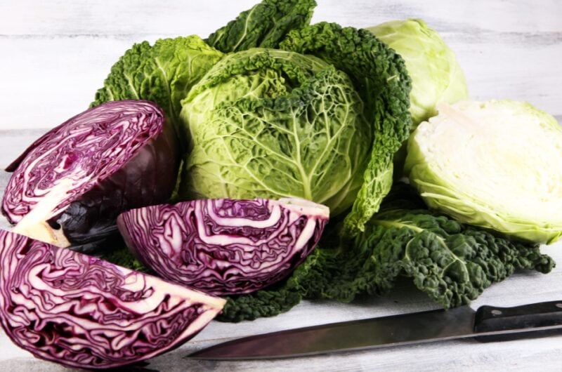 14 Types of Cabbage (Different Varieties)