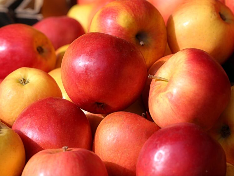 10 Best Apples for Apple Butter Insanely Good