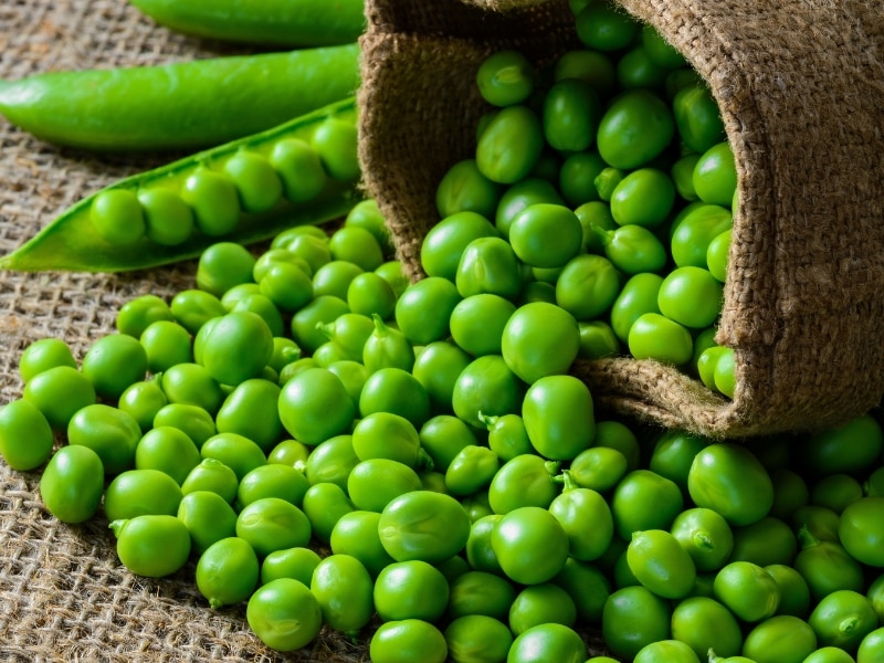 Green Peas Spilled on a Cloth Sack