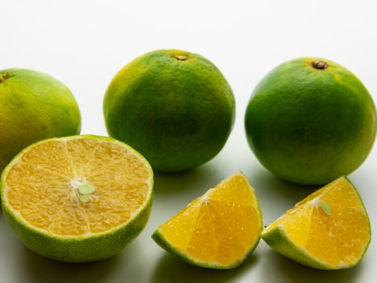 10 Types of Grapefruit You Should Know About Insanely Good