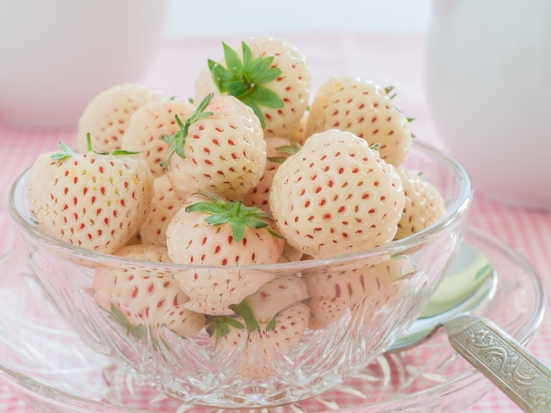 Pineberries in a Glass Bowl
