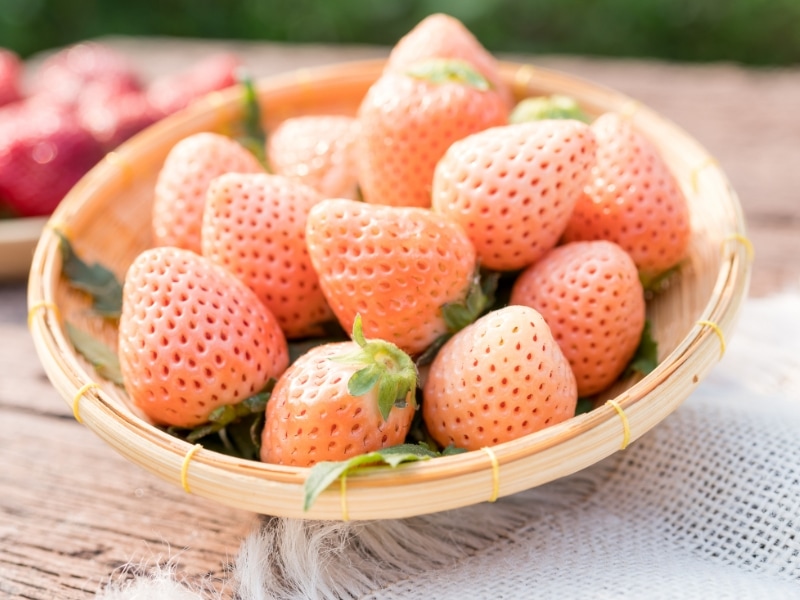 pink strawberries