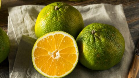 Raw Organic Green Ugli Fruit