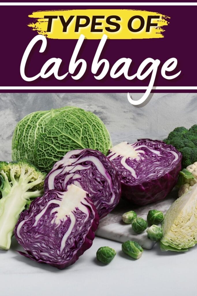 Types of Cabbage