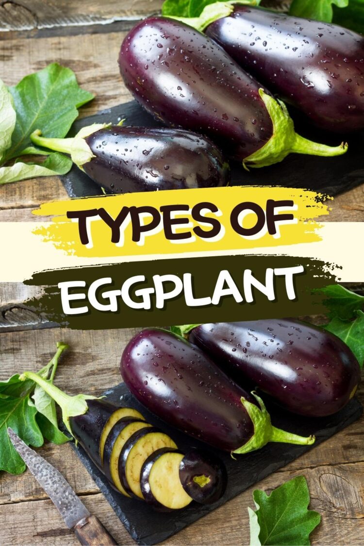 10 Types of Eggplant (Different Varieties) Insanely Good