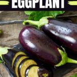 Types of Eggplant