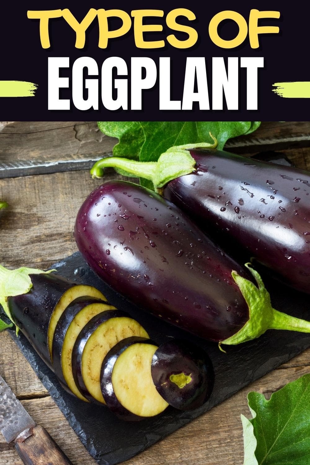 10 Types Of Eggplant Different Varieties Insanely Good 