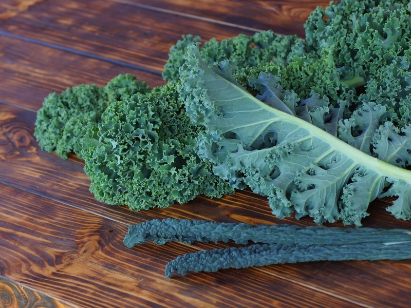 Vates Blue Curled Kale (Blue green)  on Wooden Table