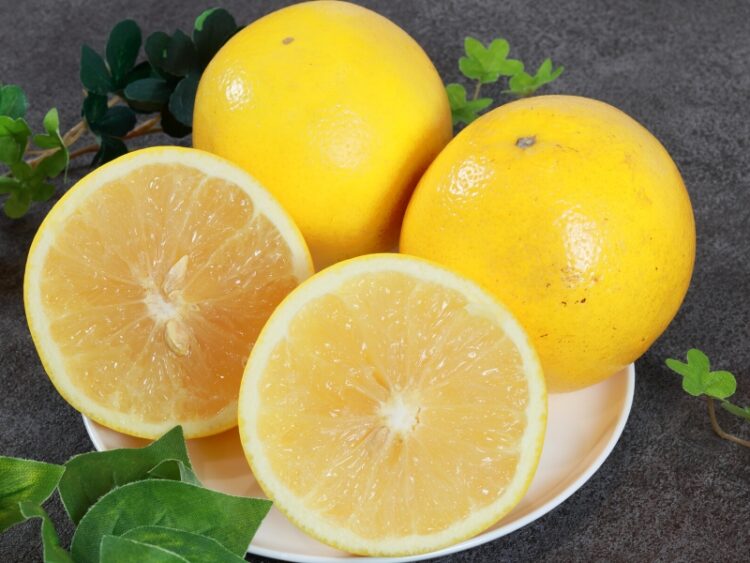 10 Types of Grapefruit You Should Know About Insanely Good