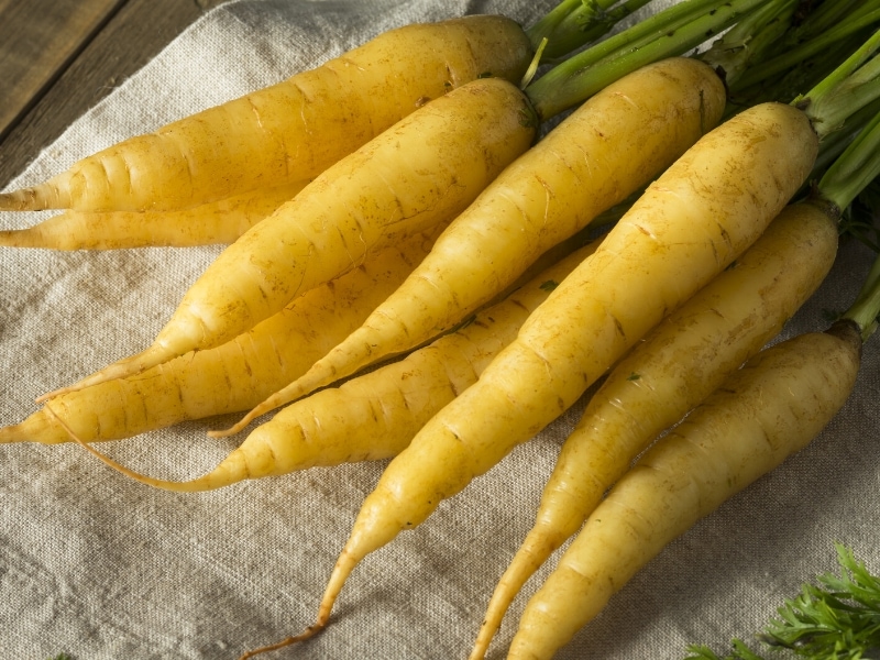 Fresh Yellow Carrots