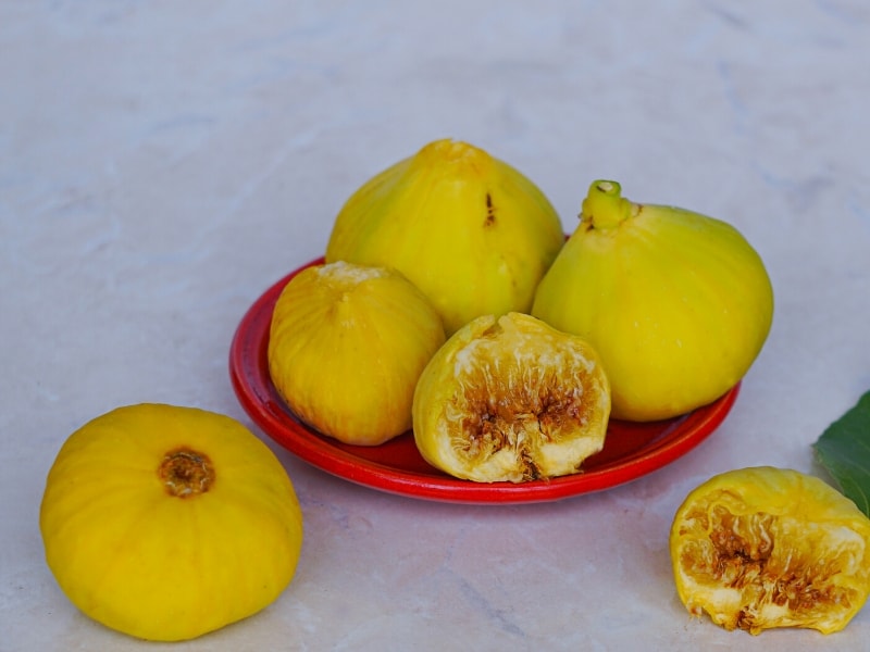 Yellow Figs
