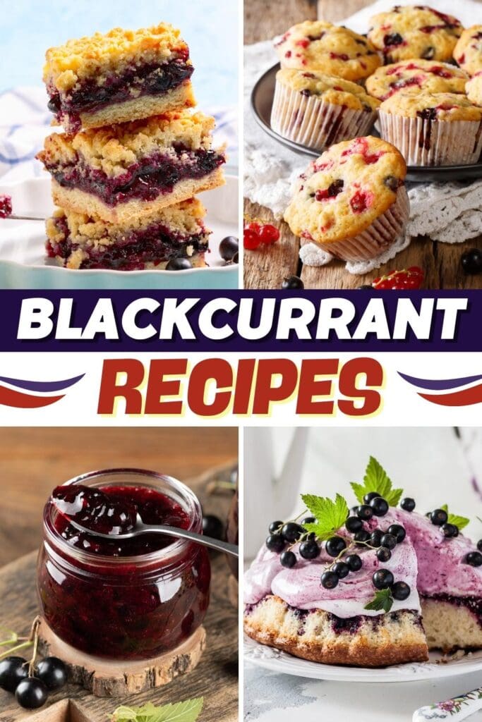 Blackcurrant Recipes