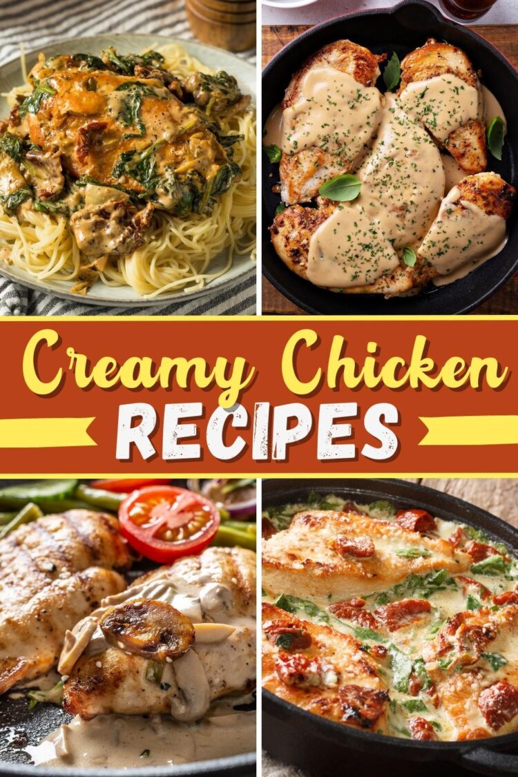 20 Creamy Chicken Recipes (+ Easy Dinner Ideas) - Insanely Good