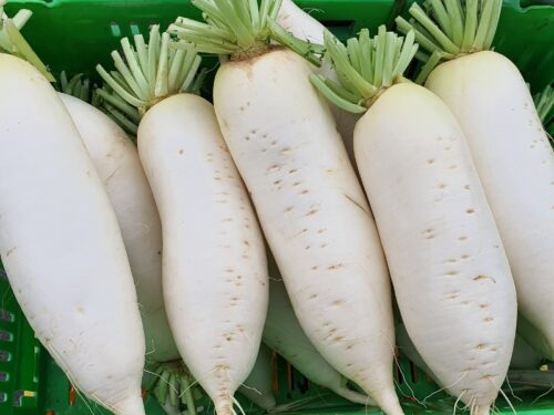 13 Popular Japanese Vegetables to Try Today - Insanely Good