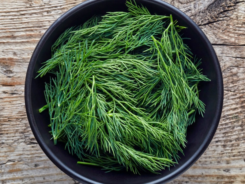 A Bowl of Fresh Dill