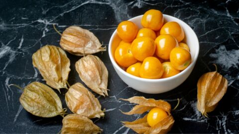 What Are Golden Berries