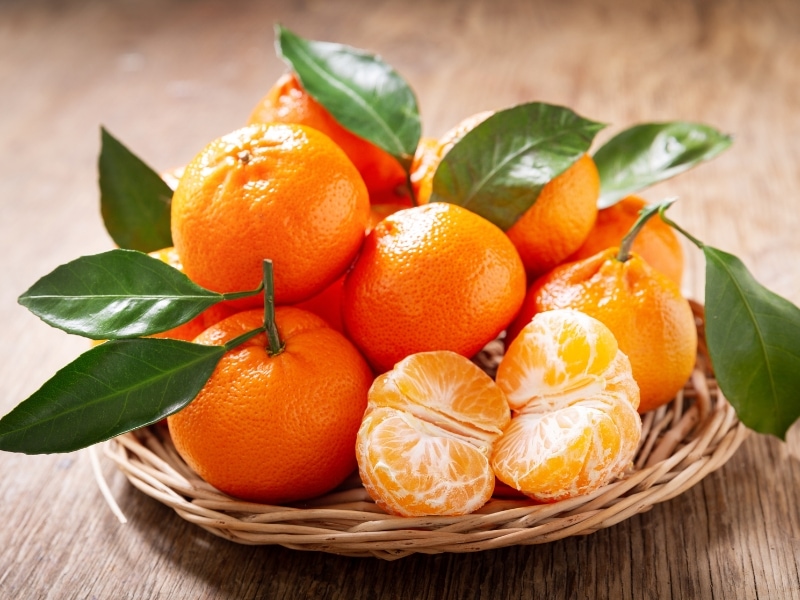 Fresh Organic Tangerine Oranges with Leaves