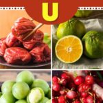 Fruits That Start with U