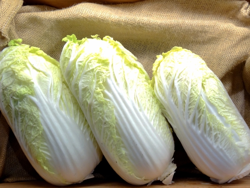 Hakusai (Chinese Cabbage) in a Wooden Crate