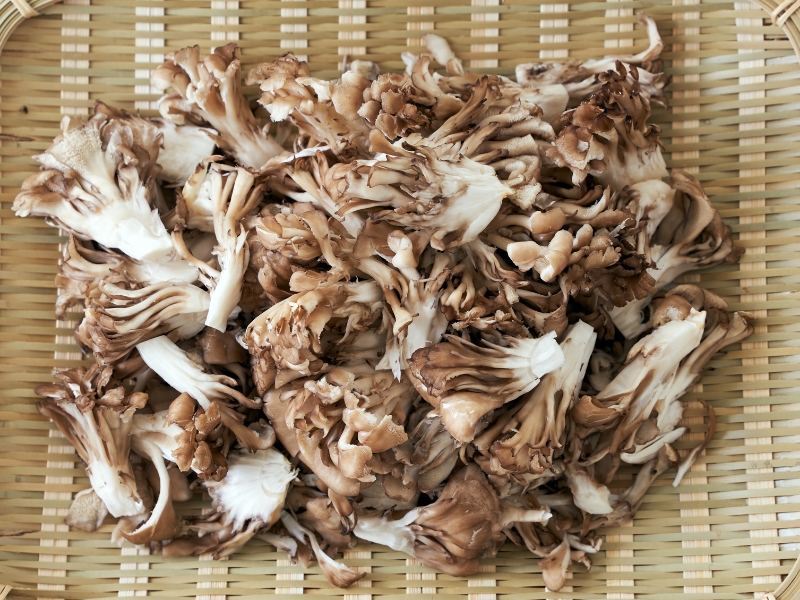 Maitake Mushrooms (Hen-of-the-Woods) on a Bamboo Tray