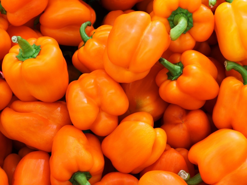 Orange Peppers in Vegetable Basket
