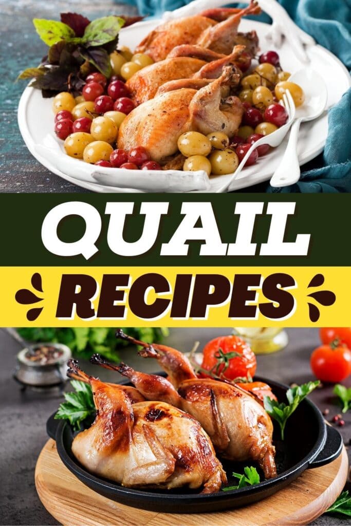 Quail Recipes