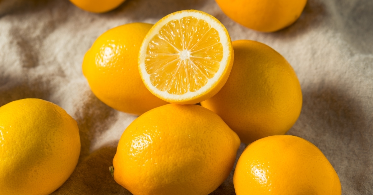 Raw and Fresh Organic Yellow Meyer Lemons